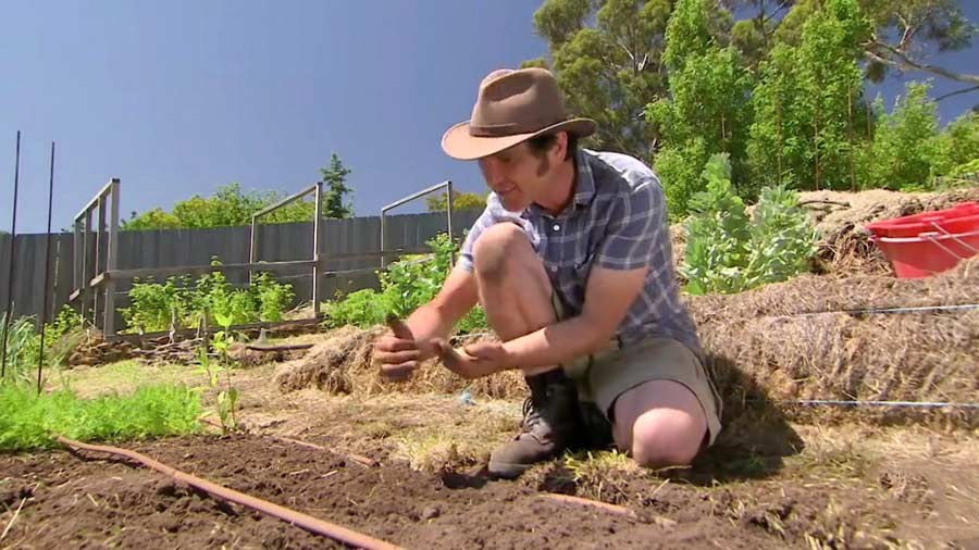 Read more about the article Gardening Australia episode 41 2019