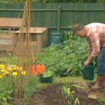 The A to Z of TV Gardening - Letter L