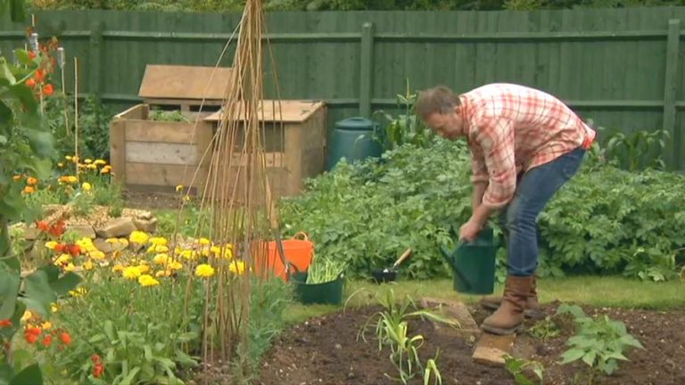 The A To Z Of TV Gardening - Letter L - Lavender, Leeks, Lettuce