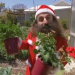 Gardening Australia - Christmas Special 2019