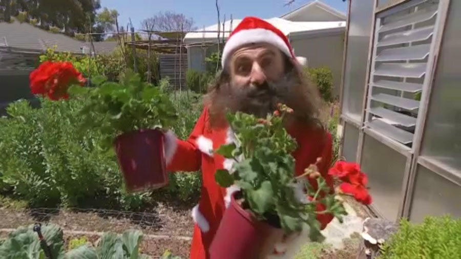 Read more about the article Gardening Australia – Christmas Special 2019