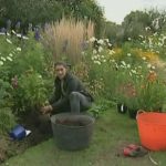 The A to Z of TV Gardening - Letter P