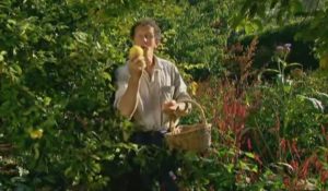 Read more about the article The A to Z of TV Gardening – Letter Q