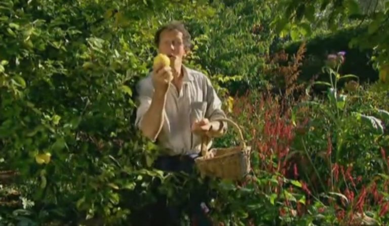 The A To Z Of TV Gardening - Letter Q - HDclump