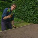 The A to Z of TV Gardening - Letter S