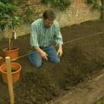 The A to Z of TV Gardening - Letter T