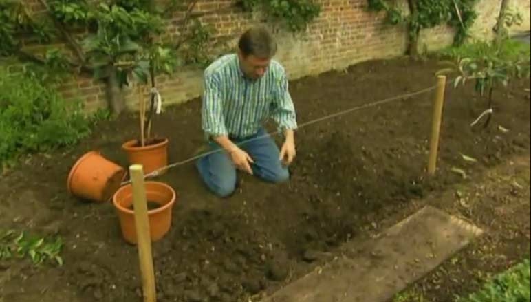Read more about the article The A to Z of TV Gardening – Letter T