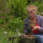 The A to Z of TV Gardening - Letter U