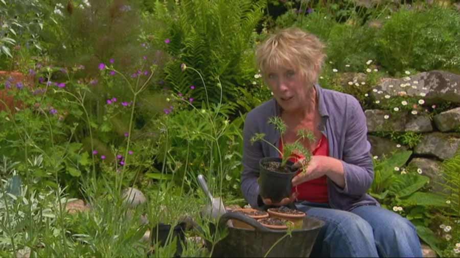 Read more about the article The A to Z of TV Gardening – Letter U