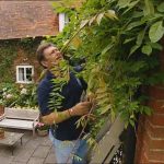 The A to Z of TV Gardening - Letter W
