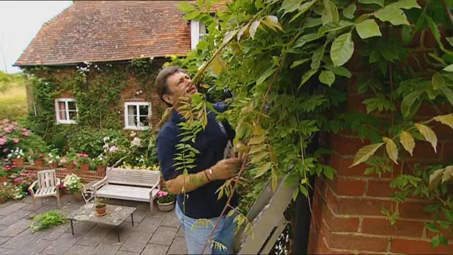 Read more about the article The A to Z of TV Gardening – Letter W