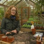 The A to Z of TV Gardening - Letters X, Y and Z