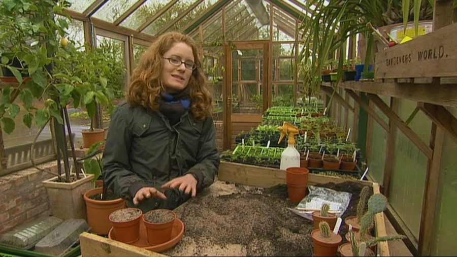 Read more about the article The A to Z of TV Gardening – Letters  X, Y and Z