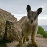 Australia Earth's Magical Kingdom episode 2