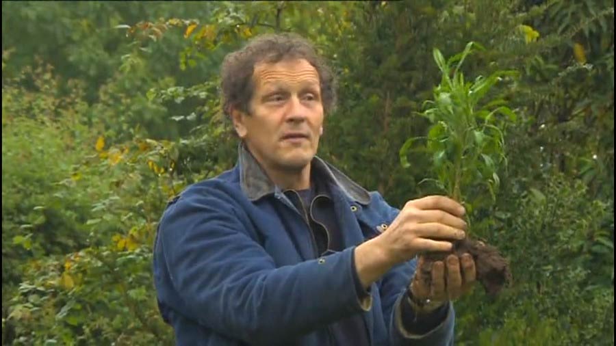 Read more about the article Gardeners World 19 October 2012