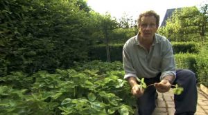 Gardeners World episode 18 2012 - an abundance of growth in August