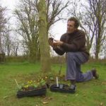 Gardeners World episode 2 2012