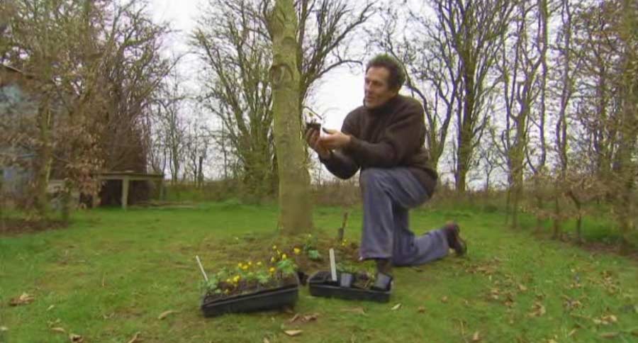Read more about the article Gardeners World episode 2 2012