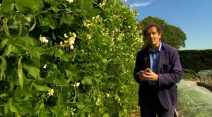 Read more about the article Gardeners World episode 24 2012