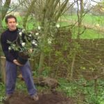 Gardeners World episode 3 2012