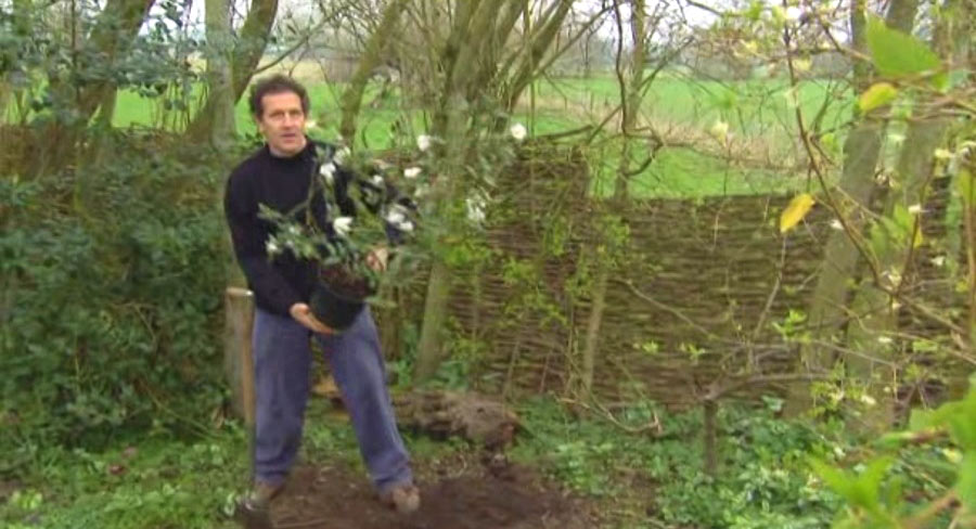 Read more about the article Gardeners World episode 3 2012