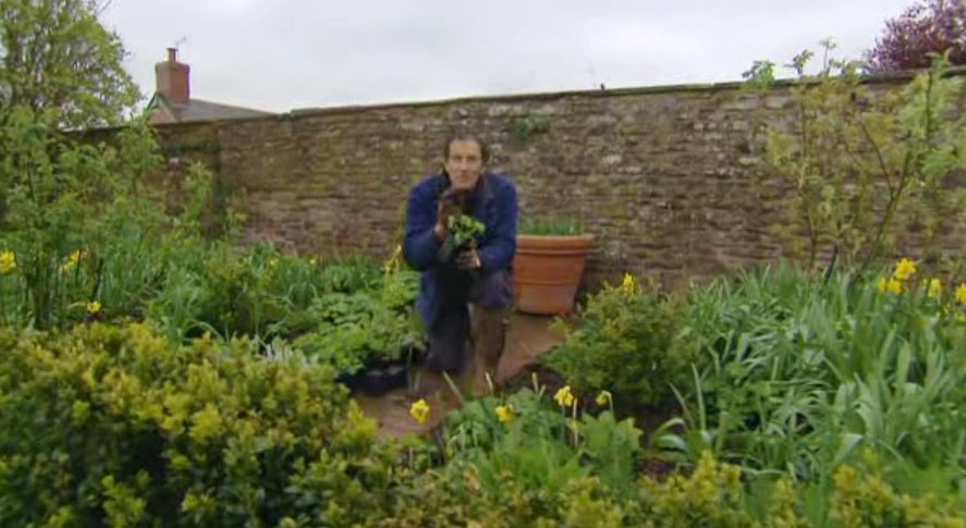 Gardeners World episode 6 2012