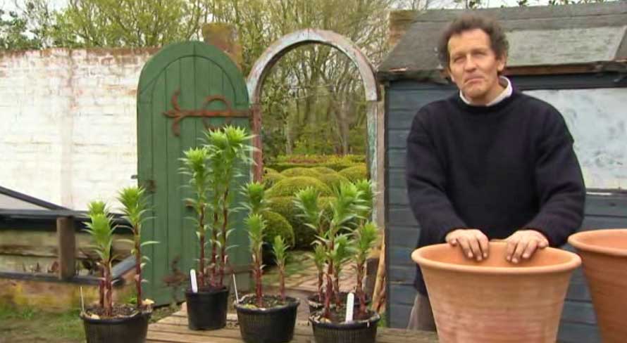Gardeners World episode 8 2012