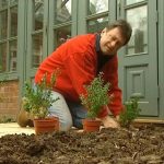 Gardeners World episode 3 2002