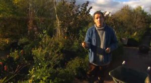 Read more about the article Gardeners World episode 31 2012