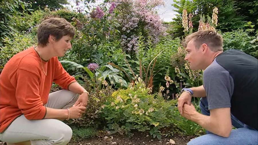Read more about the article Gardeners World episode 6 2002