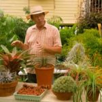 Gardening Australia episode 1 2020