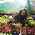 Gardening Australia episode 2 2020