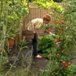 The Edible Garden episode 6 - The Winter Larder
