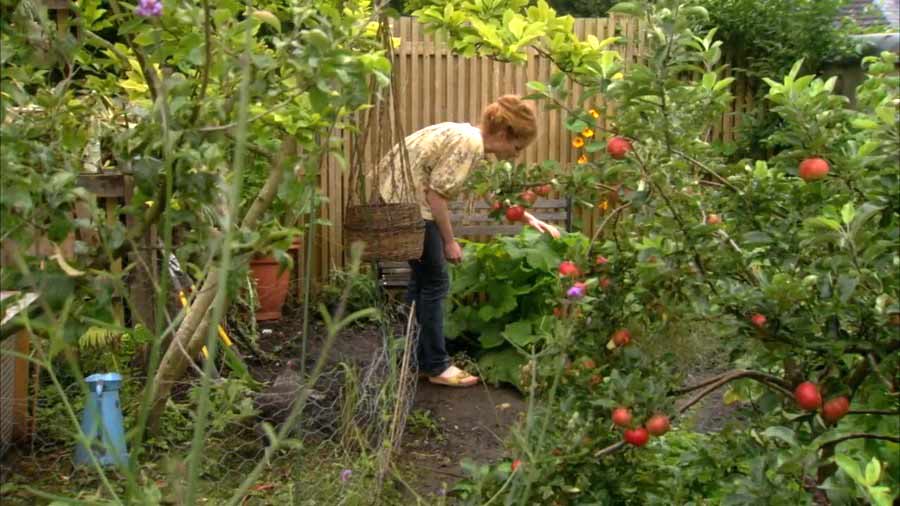 Read more about the article The Edible Garden episode 6 – The Winter Larder
