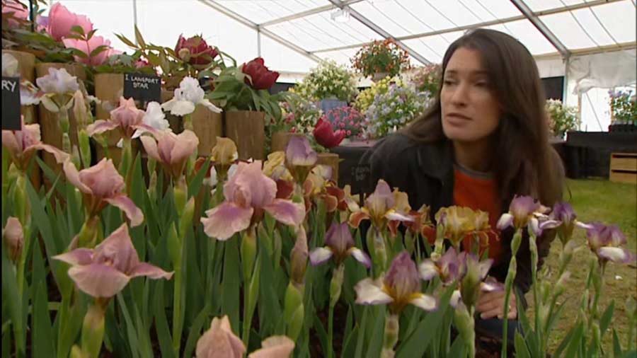Read more about the article Gardeners World episode 11 2002