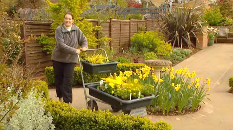 Read more about the article Gardeners World episode 8 2002