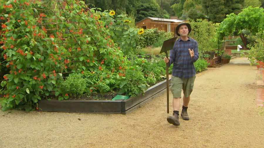 Gardening Australia episode 8 2020 — Gardening Australia 2020