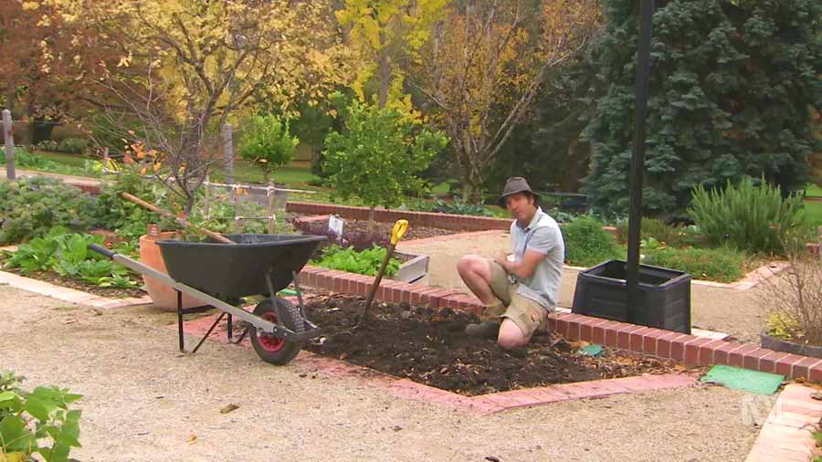 Gardening Australia episode 11 2020
