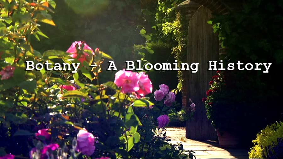 Read more about the article Botany – A Blooming History episode 1 – A Confusion of Names