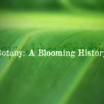 Botany - A Blooming History episode 3 - Hidden World