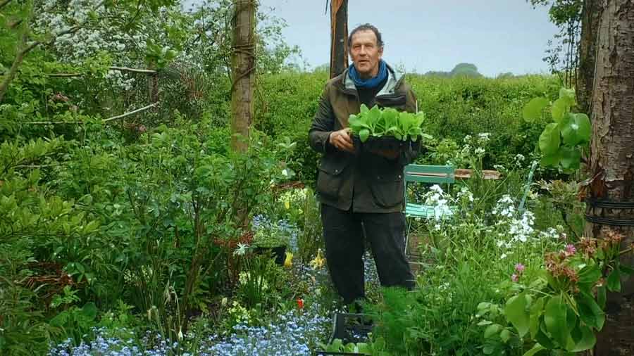 Read more about the article Gardeners World episode 8 2020