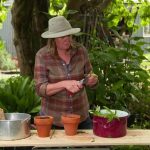 Gardening Australia episode 13 2020