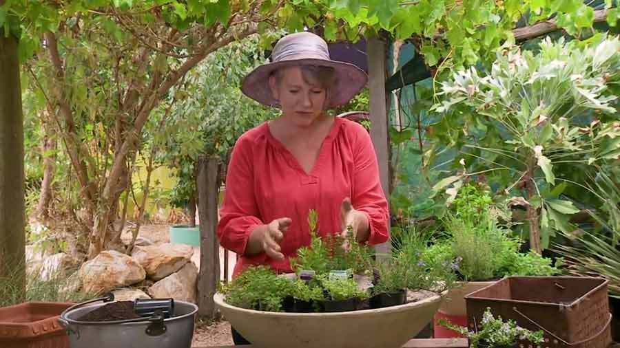 Gardening Australia episode 14 2020