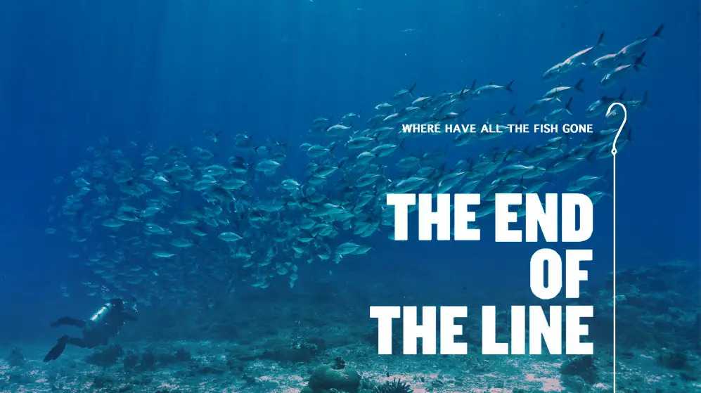 Read more about the article The End of the Line