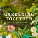 Gardening Together with Diarmuid Gavin episode 1
