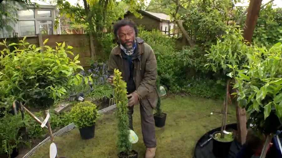 The Instant Gardener episode 6
