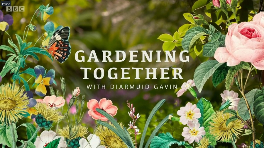 Gardening Together with Diarmuid Gavin episode 4