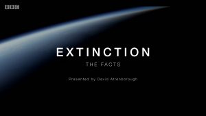 Read more about the article Extinction – The Facts