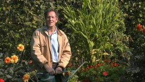 Read more about the article Gardeners World episode 29 2020