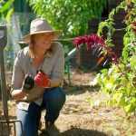 Gardening Australia episode 30 2020